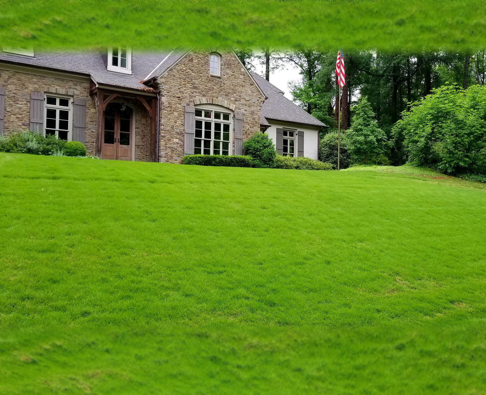 Lawn Care Programs Marietta GA
