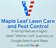 Maple Leaf Grow With Google
