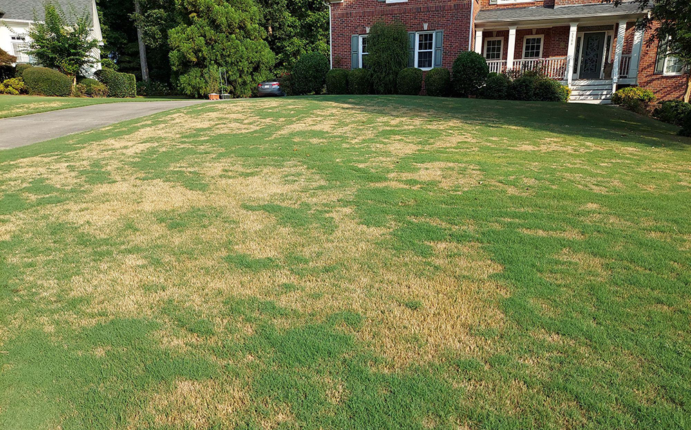 army worm control marietta ga