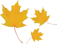 Lawn Care Marietta GA