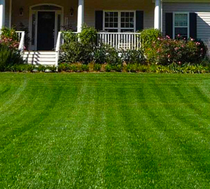 Lawn Care Kingston GA