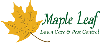 Maple Leaf Lawn Care & Pest Control